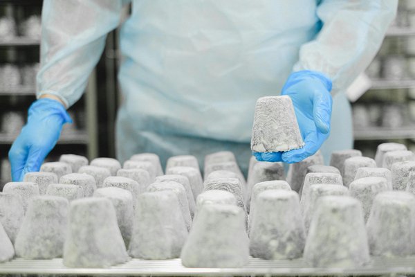 Location chambre froide mobile : la solution idéale pour vos événements